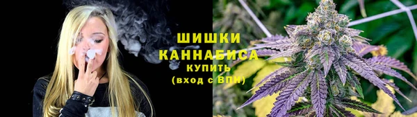 индика Вязьма