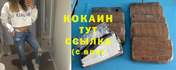 индика Вязьма