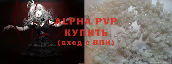 индика Вязьма