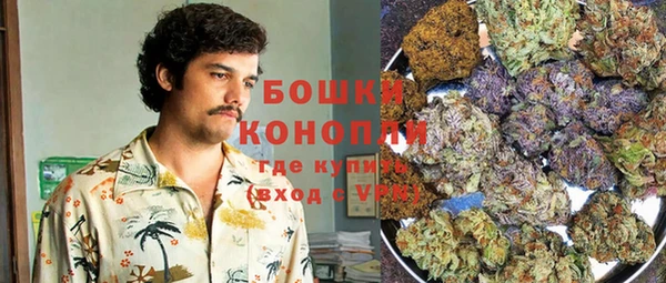 индика Вязьма