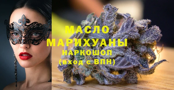 индика Вязьма