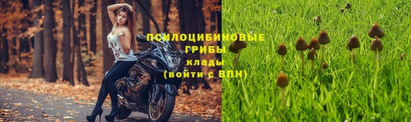прущие крисы Вяземский