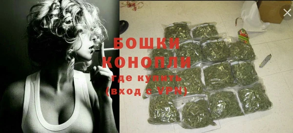 индика Вязьма