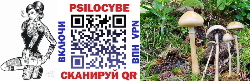 Псилоцибиновые грибы Magic Shrooms  Горбатов 